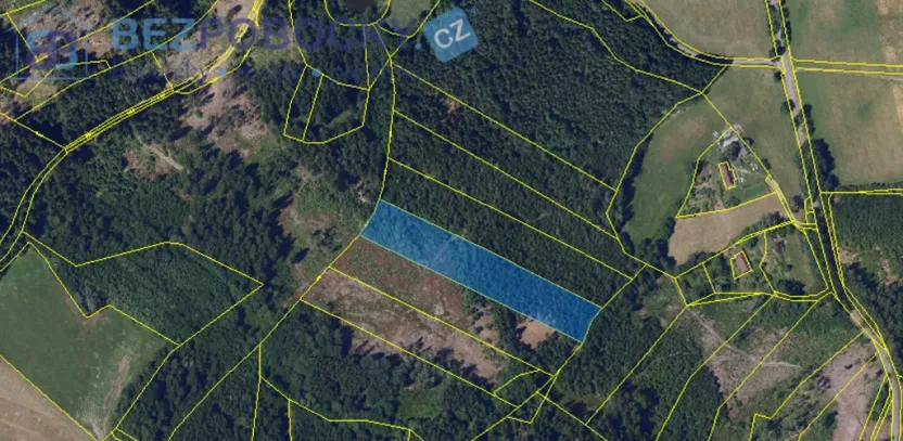 Prodej lesa, Vysočina, 26720 m2