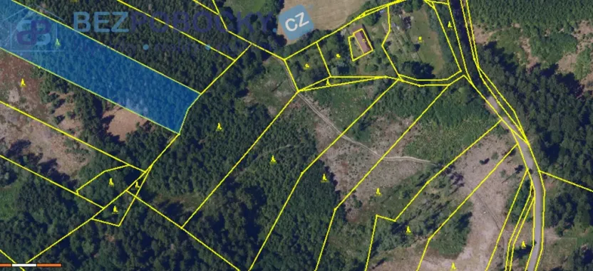 Prodej lesa, Vysočina, 26720 m2