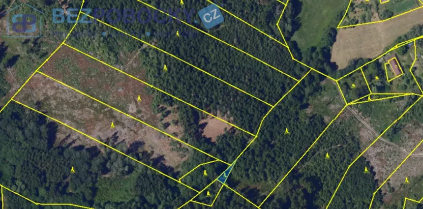 Prodej lesa, Vysočina, 26720 m2