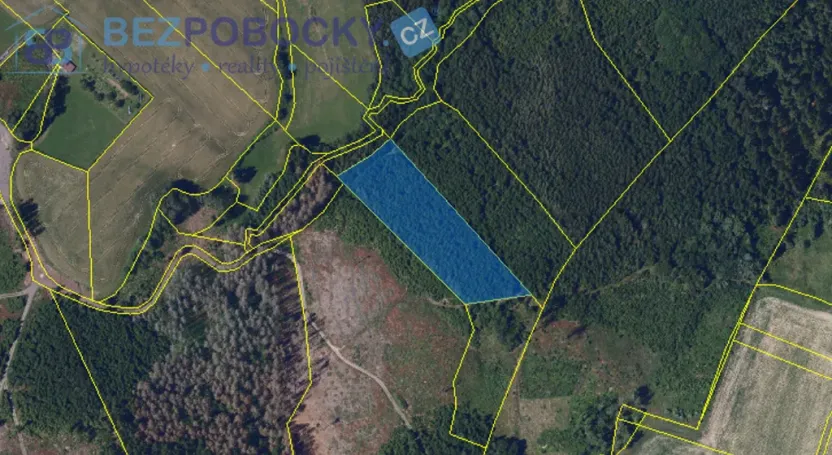 Prodej lesa, Vysočina, 26720 m2