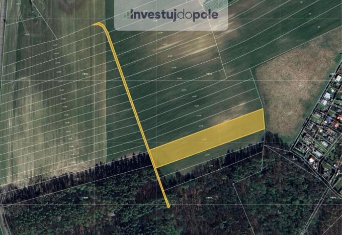 Prodej pole, Přelouč - Klenovka, 2901 m2