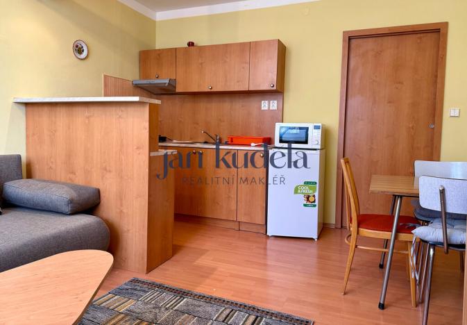 Pronájem bytu 1+kk, Brno, Rolnická, 24 m2