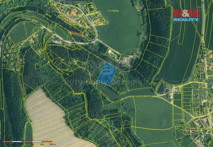 Prodej lesa, Římov - Branišovice, 6543 m2