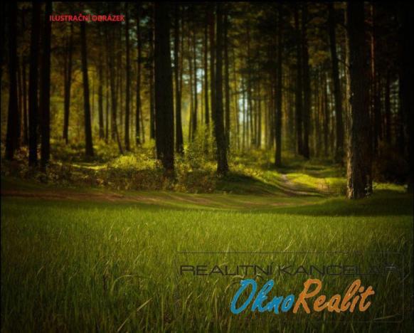 Prodej lesa, Křečkov, 339223 m2