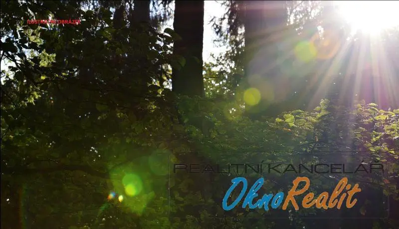 Prodej lesa, Křečkov, 339223 m2