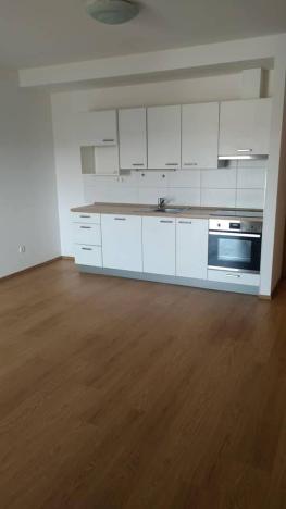 Pronájem bytu 2+kk, Plzeň, U Velkého rybníka, 50 m2