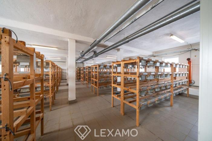 Pronájem výrobních prostor, Moravské Budějovice - Vranín, 200 m2