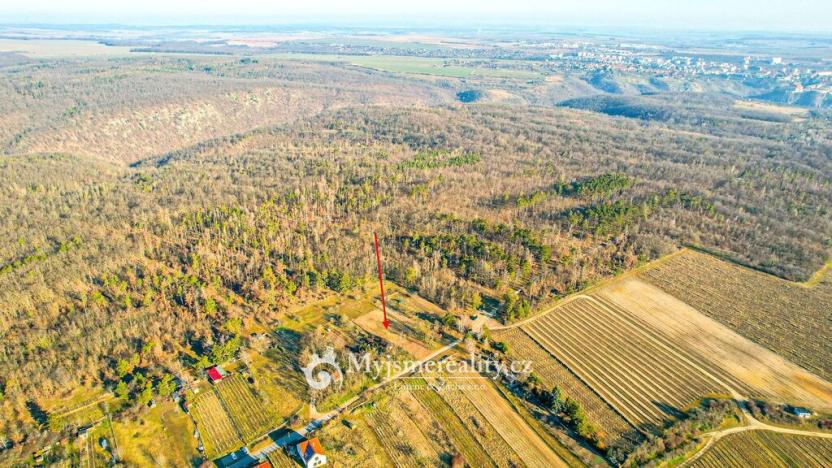 Prodej zahrady, Znojmo - Konice, 1003 m2
