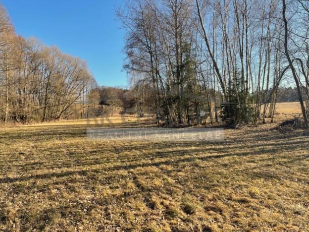 Prodej pozemku pro bydlení, Horní Stropnice - Svébohy, 3293 m2