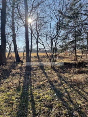 Prodej pozemku pro bydlení, Horní Stropnice - Svébohy, 3293 m2