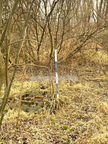 Prodej pozemku pro bydlení, Horní Stropnice - Svébohy, 3293 m2