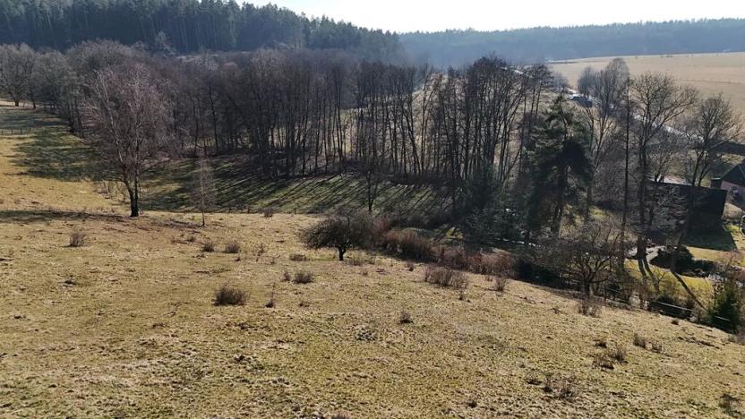 Prodej louky, Zdobín, 46786 m2