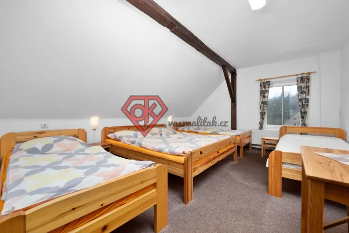 Prodej chalupy, Orličky, 663 m2