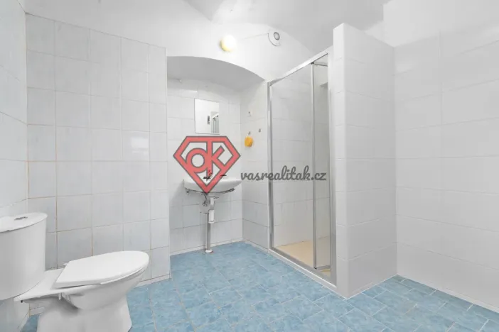 Prodej chalupy, Orličky, 663 m2