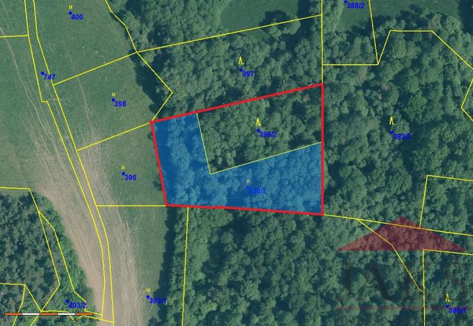 Prodej lesa, Žihobce, 5431 m2