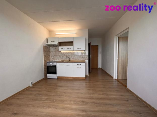 Pronájem bytu 1+1, Žatec, Družstevní, 38 m2