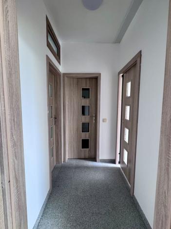 Pronájem bytu 2+kk, Dolany, 55 m2