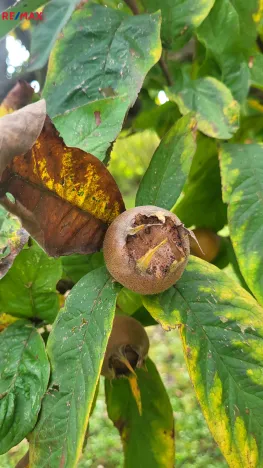 Prodej pozemku pro bydlení, Vřesovice, 2192 m2