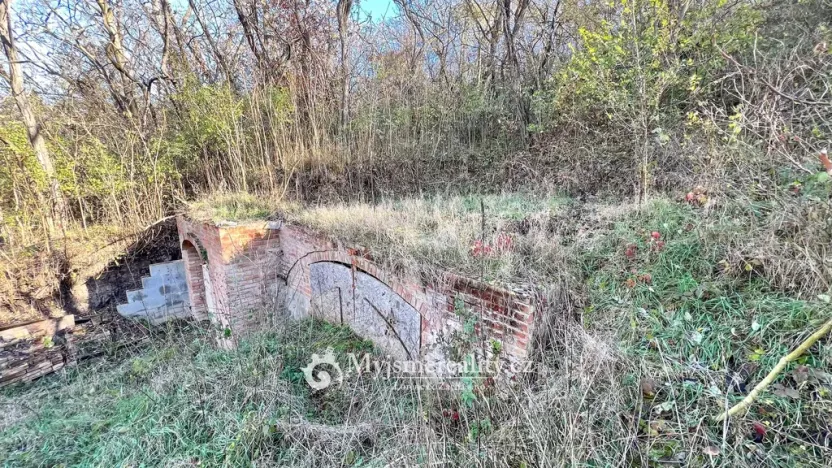 Prodej - jiné, Dyjákovičky, 226 m2