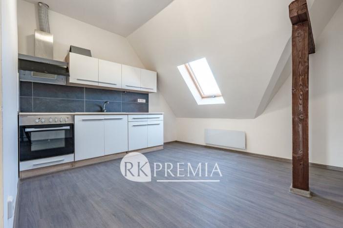 Prodej činžovního domu, Ústí nad Labem - Krásné Březno, Drážďanská, 534 m2