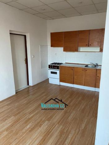 Prodej bytu 6+kk a větší, Kroměříž, Švabinského nábřeží, 135 m2