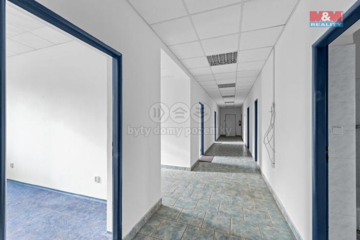 Pronájem kanceláře, Lichoceves, 520 m2