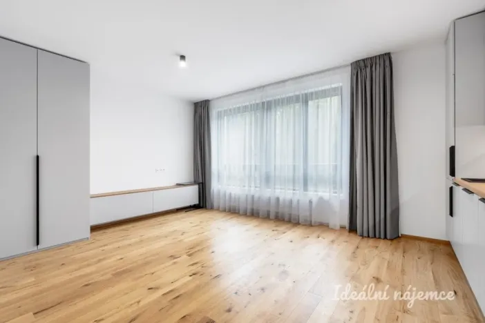 Pronájem bytu 1+kk, Praha - Nusle, Závišova, 33 m2