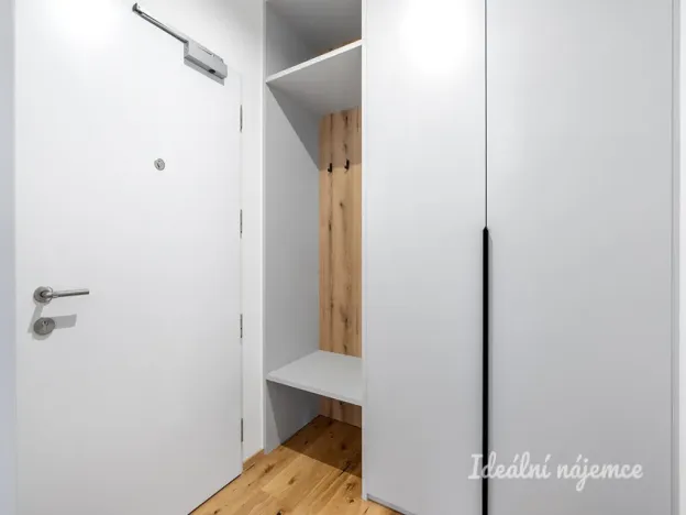 Pronájem bytu 1+kk, Praha - Nusle, Závišova, 33 m2