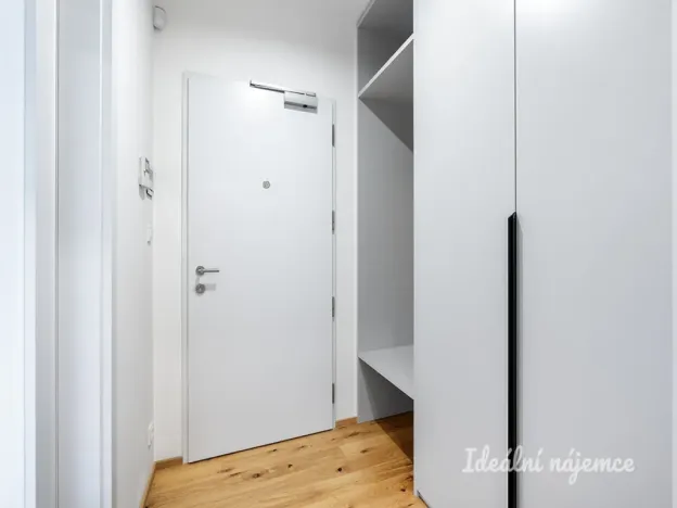 Pronájem bytu 1+kk, Praha - Nusle, Závišova, 33 m2