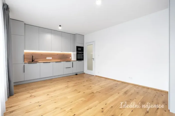 Pronájem bytu 1+kk, Praha - Nusle, Závišova, 33 m2