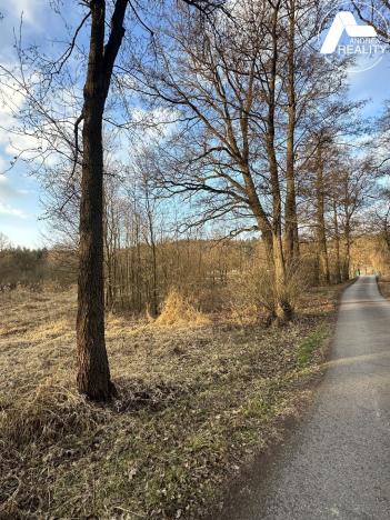 Prodej zahrady, Heřmaň, 4971 m2