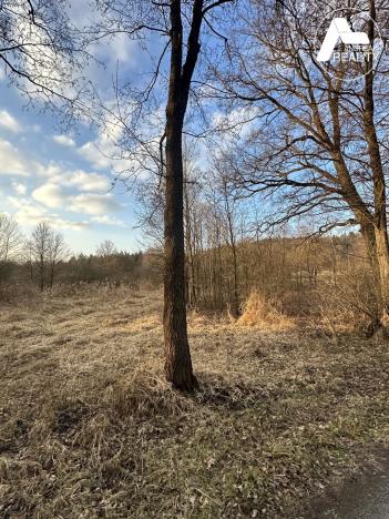 Prodej zahrady, Heřmaň, 4971 m2