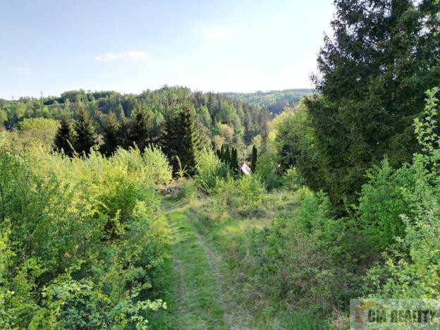 Prodej pozemku pro bydlení, Lipová - Seč, 3964 m2