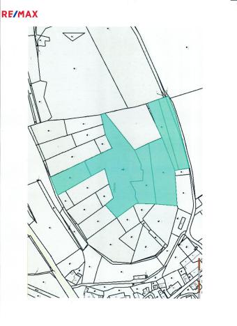 Prodej lesa, Běštín, 21632 m2