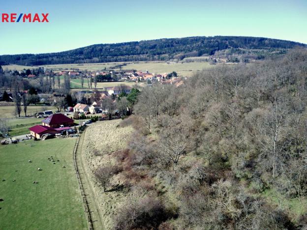 Prodej lesa, Běštín, 21632 m2