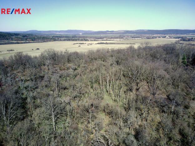 Prodej lesa, Běštín, 21632 m2