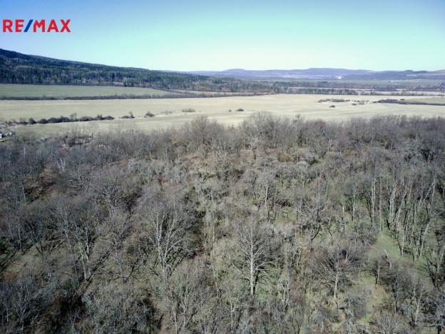 Prodej lesa, Běštín, 21632 m2