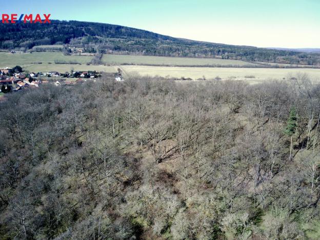 Prodej lesa, Běštín, 21632 m2