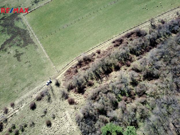 Prodej lesa, Běštín, 21632 m2