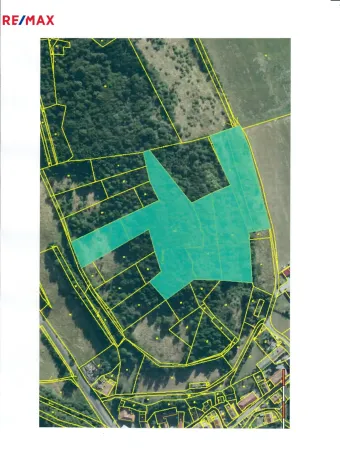 Prodej lesa, Běštín, 21632 m2