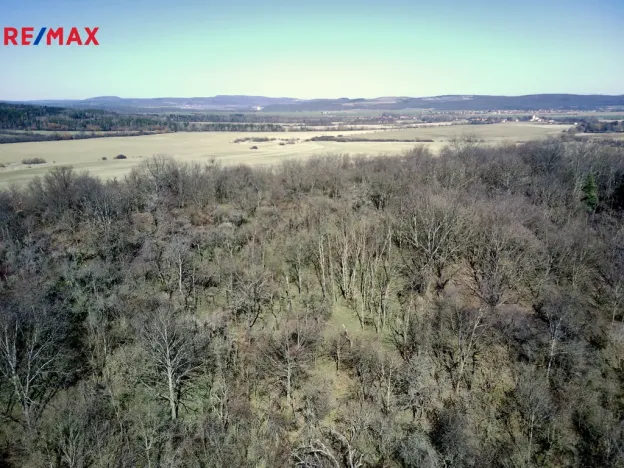 Prodej lesa, Běštín, 21632 m2