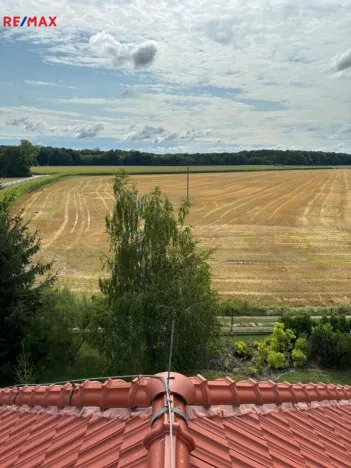 Prodej vícegeneračního domu, Příkazy - Hynkov, 344 m2