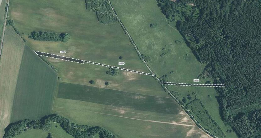 Prodej pole, Javorník, 14070 m2