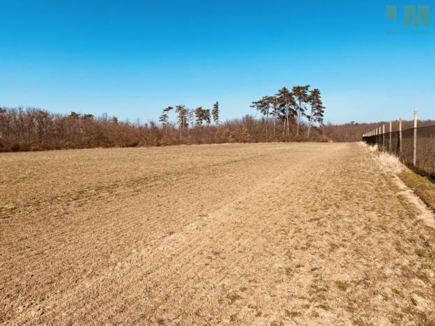 Prodej zahrady, Dobšice, 7000 m2