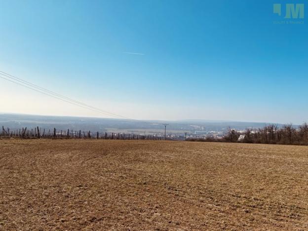 Prodej zahrady, Dobšice, 7000 m2