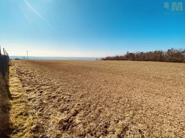 Prodej zahrady, Dobšice, 7000 m2
