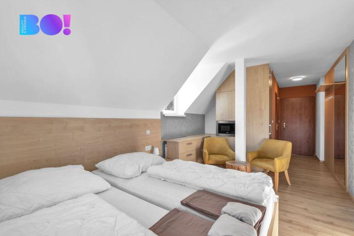 Prodej vícegeneračního domu, Orlické Záhoří, 440 m2