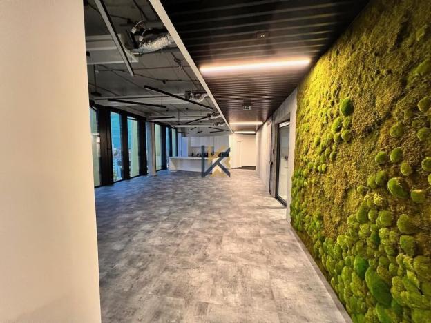 Pronájem kanceláře, Praha - Vokovice, Evropská, 300 m2