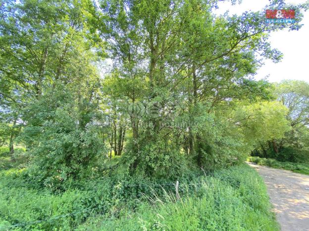 Prodej louky, Bukovany, 1264 m2