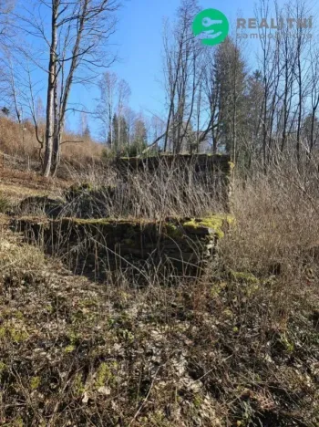 Prodej pozemku pro bydlení, Vysoké nad Jizerou - Stará Ves, 482 m2